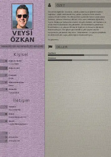 cv indir